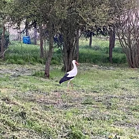 بيت للعطل De Hongaarse Vallei Szello