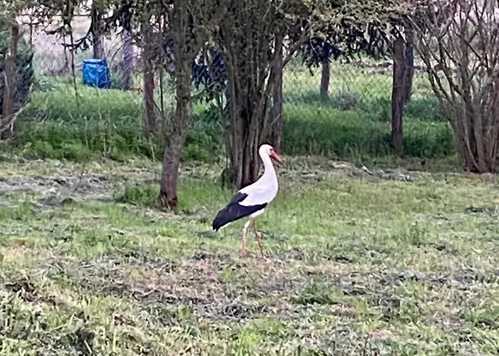 Vakantiehuis De Hongaarse Vallei Szello