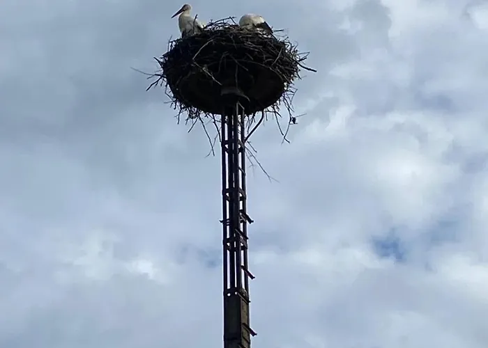 De Hongaarse Vallei Szello